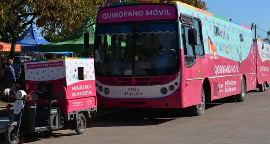 La castraci&oacute;n gratuita de mascotas llega este martes al Barrio Independencia