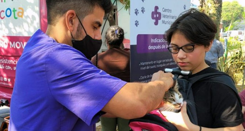 El programa &lsquo;Mi Mascota&rsquo; concluye su labor este jueves en el barrio Independencia