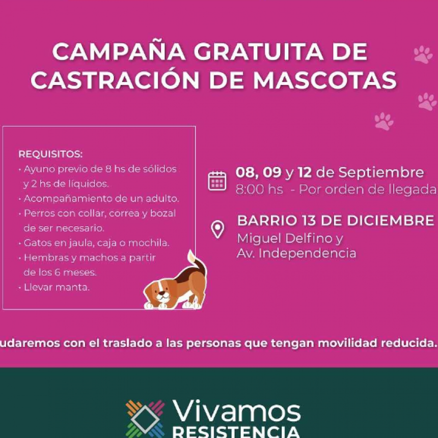 Este jueves, la castraci&oacute;n gratuita de mascotas llega al barrio 13 de Diciembre