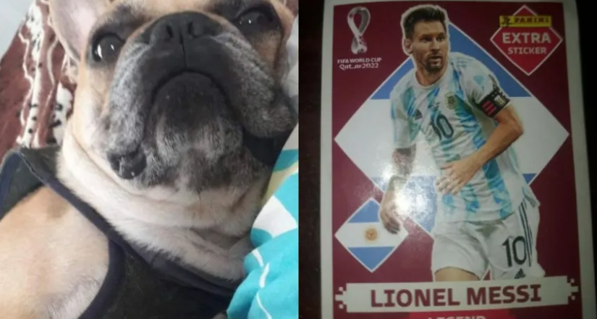 "Gesto de amor": un nene de 7 a&ntilde;os ofreci&oacute; su figurita de Messi para recuperar el perro de su amiga