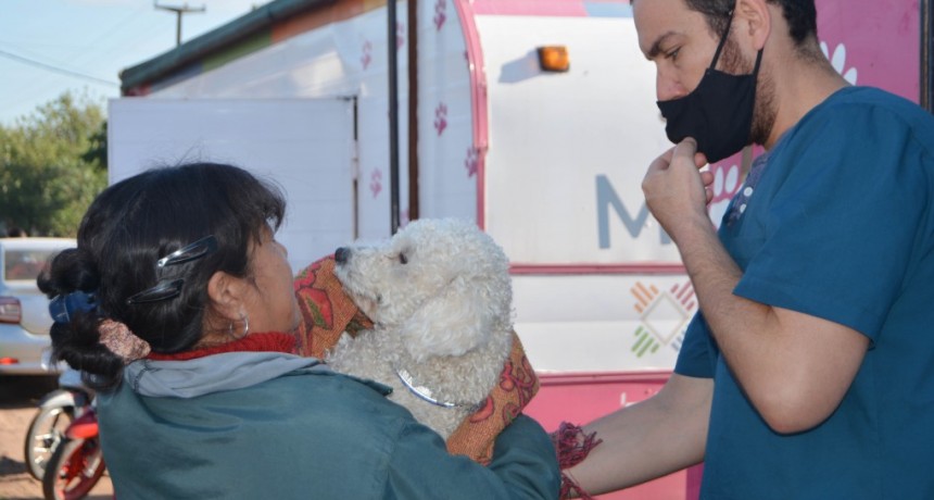 Este lunes, el programa &ldquo;mi mascota&rdquo; que impulsa resistencia contin&uacute;a en el Barrio 13 de Diciembre
