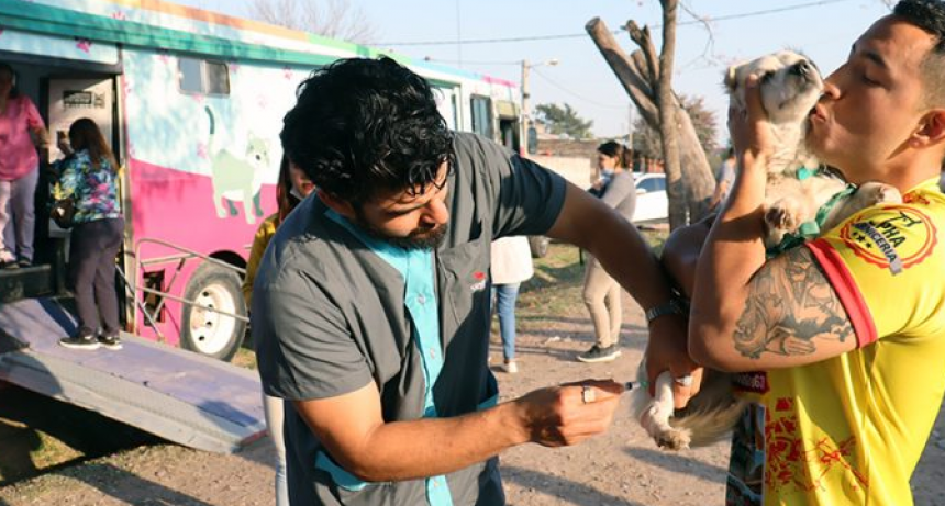 Este lunes, castraci&oacute;n gratuita de mascotas estar&aacute; en el barrio Los Cisnes de Resistencia