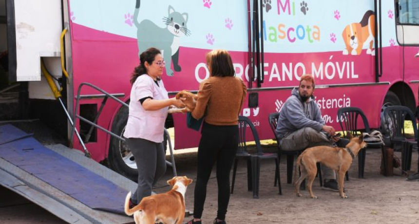 Realizar&aacute;n castraciones gratuitas este jueves y viernes en el barrio Barber&aacute;n