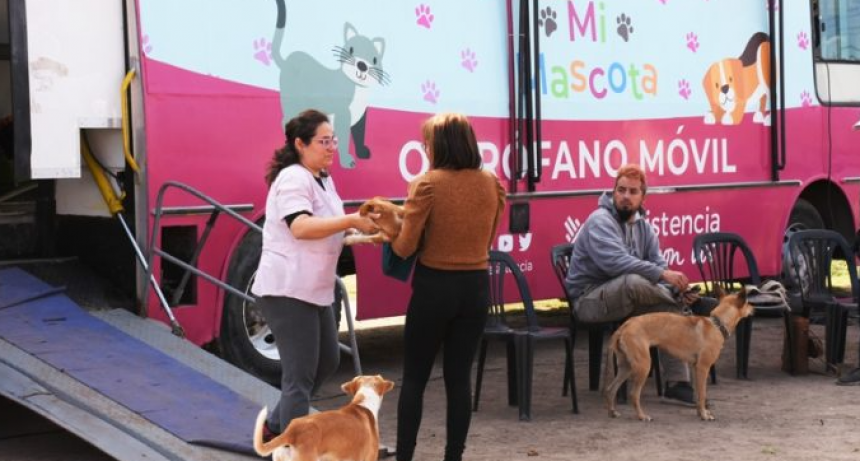 El Municipio llega el martes con la castraci&oacute;n de mascotas a Chaco For Ever