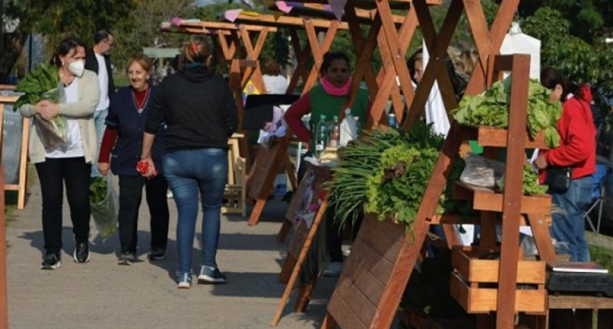 Habr&aacute; transporte gratuito a los Mercados Populares el viernes y s&aacute;bado