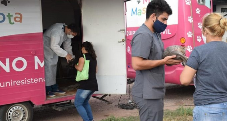 Habr&aacute; castraci&oacute;n gratuita de mascotas desde este martes en el barrio Jard&iacute;n