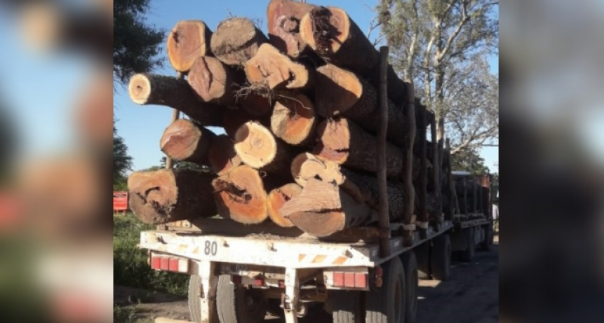 Secuestraron 30 toneladas de quebracho colorado por infracci&oacute;n a la Ley de Bosques