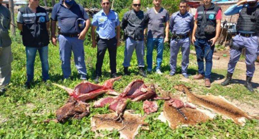 S&aacute;enz Pe&ntilde;a: Mataron a palazos ciervos del zoo y los carnearon para asarlos