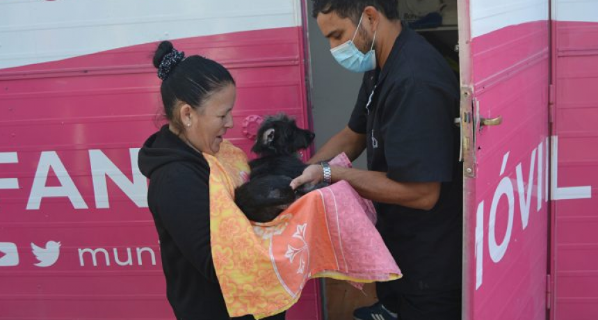 El programa &lsquo;Mi Mascota&rsquo; continuar&aacute; este lunes en el barrio Edison