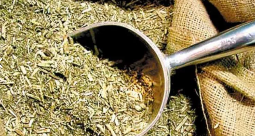 Corrientes: cay&oacute; por trasladar paquetes de yerba con sorpresa