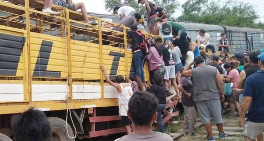 Un tren choc&oacute; un cami&oacute;n con vacas y los vecinos se hicieron un fest&iacute;n 