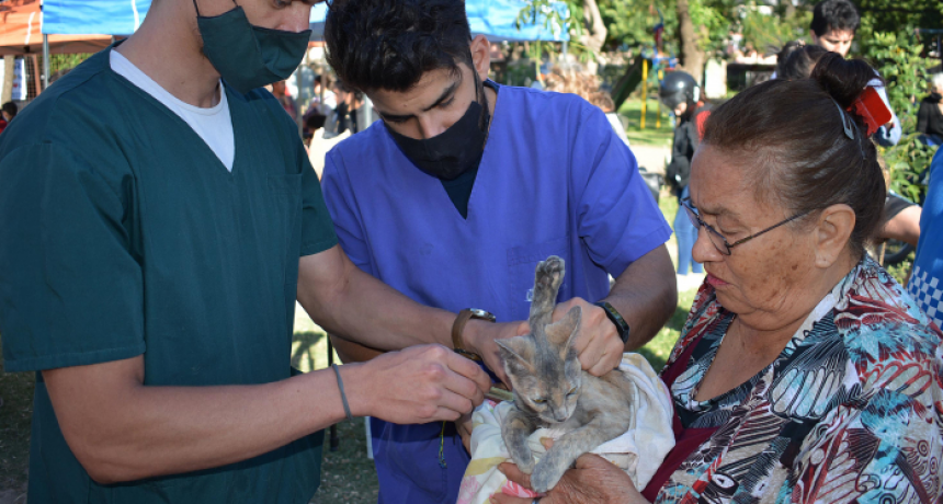 Resistencia: el Municipio realiz&oacute; alrededor de 6 mil castraciones de mascotas en 2021