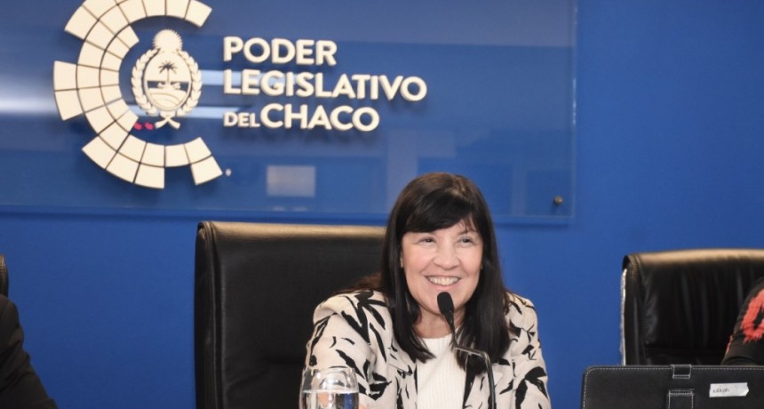 El Poder Legislativo finaliza un prol&iacute;fico a&ntilde;o con 241 leyes sancionadas y un contacto directo con las y los chaque&ntilde;os